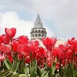 Ar Istanbul
