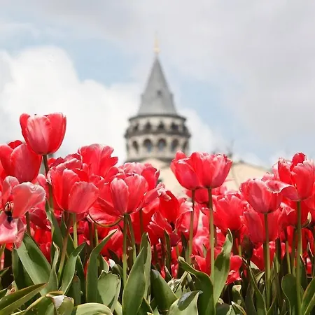 Ar Istambul
